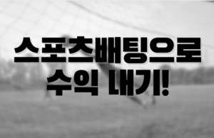 스포츠배팅 수익