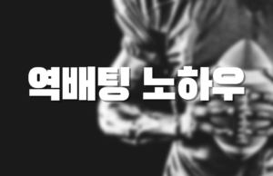 스포츠배팅 잘하는 방법 스포츠 역배팅
