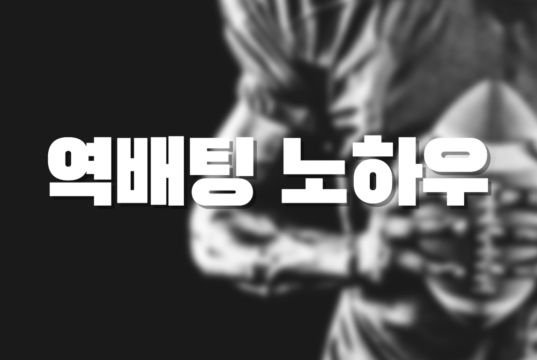 스포츠배팅 잘하는 방법 스포츠 역배팅