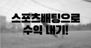 스포츠 배팅 수익내는 방법 ! 스포츠배팅 수익