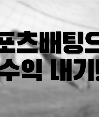 스포츠 배팅 수익내는 방법 ! 스포츠배팅 수익