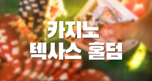 카지노 텍사스 홀덤