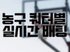 배팅나무 농구 쿼터배팅