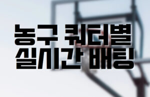 배팅나무 농구 쿼터배팅
