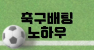 배팅나무 축구배팅 노하우