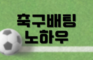 배팅나무 축구배팅 노하우