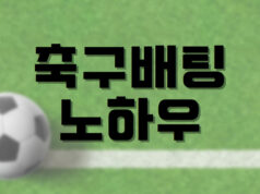 배팅나무-축구배팅 노하우 배팅나무 축구배팅 노하우