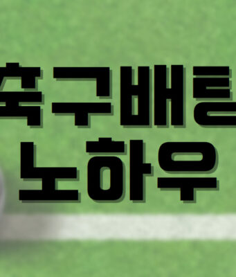 배팅나무-축구배팅 노하우 배팅나무 축구배팅 노하우