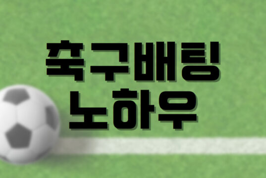 배팅나무-축구배팅 노하우 배팅나무 축구배팅 노하우