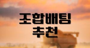 배팅나무-스포츠 배팅조합 추천 배팅나무 스포츠 조합배팅 추천