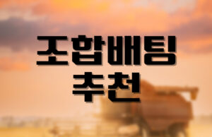 배팅나무-스포츠 배팅조합 추천 배팅나무 스포츠 조합배팅 추천