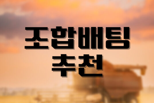 배팅나무-스포츠 배팅조합 추천 배팅나무 스포츠 조합배팅 추천