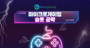 마이크로게이밍 슬롯 전략