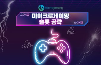 마이크로게이밍 슬롯 공략 마이크로게이밍 슬롯 전략