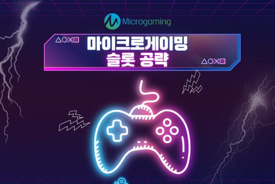 마이크로게이밍 슬롯 공략 마이크로게이밍 슬롯 전략