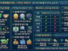 왜 메이저인가? 해외배팅사이트 이용 시 누릴 수 있는 압도적인 배당률의 비밀