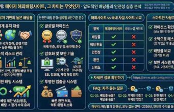 왜 메이저인가? 해외배팅사이트 이용 시 누릴 수 있는 압도적인 배당률의 비밀